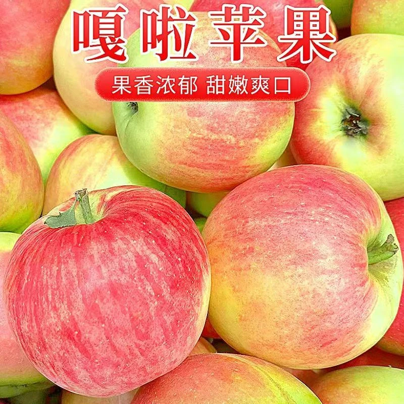 正宗嘎啦红苹果小苹果当季香甜宝宝孕妇新鲜水果整箱非红富士T