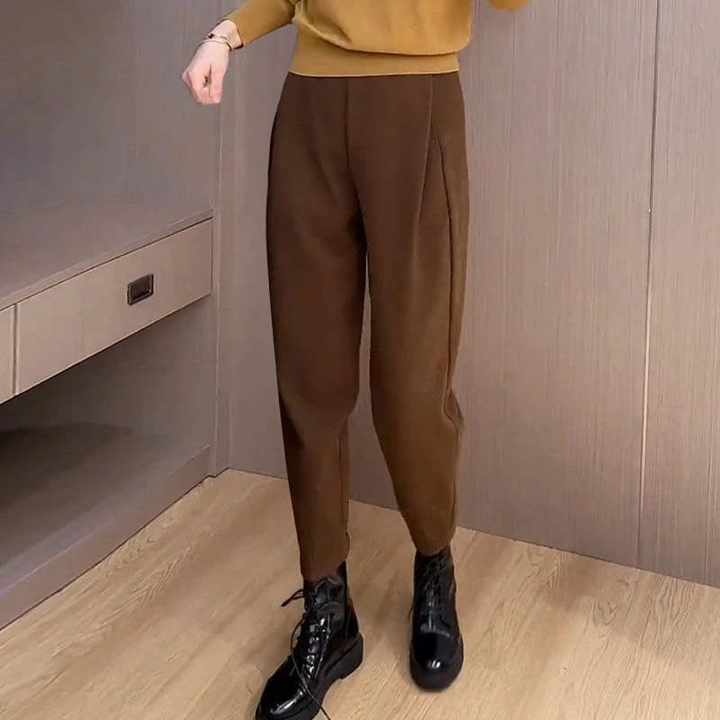 秋冬新款加厚洋气高腰爆款裤子九分宽松显瘦毛呢百搭哈伦裤女款女