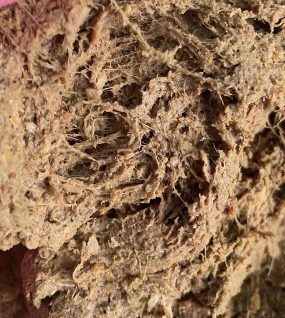 罗非拉饵成品饵罗非海藻丝拉饵500克