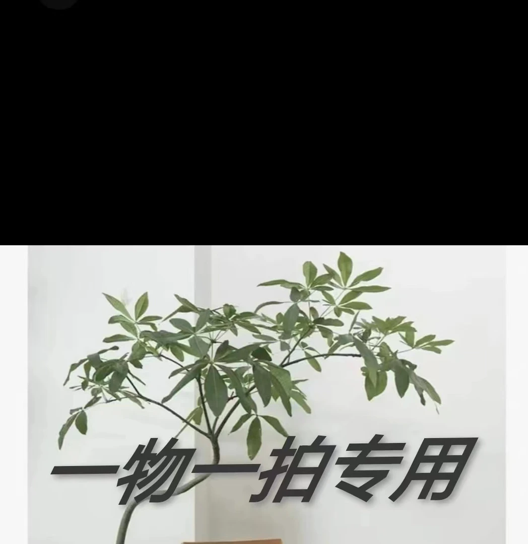 【一物一拍）流泉枫青流泉室内桌摆庭院阳台禅意家居