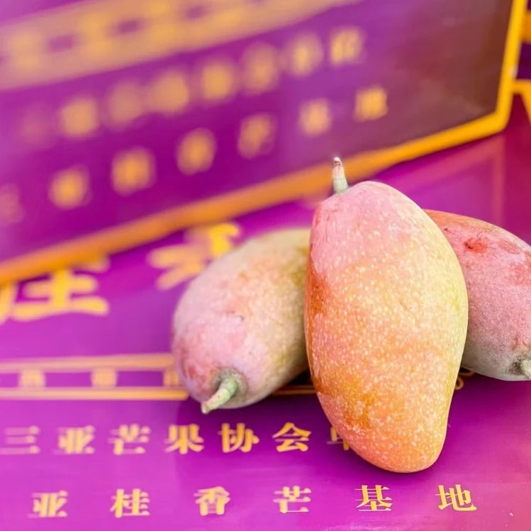 【娇姐甄选】海南三亚树熟桂香芒果精品礼盒装约4斤