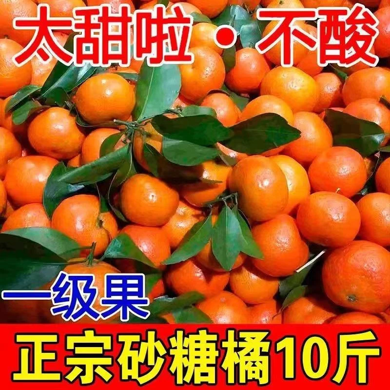 【立减15元】正宗砂糖橘产自广西来宾一级果品质保证新鲜爆甜现摘发