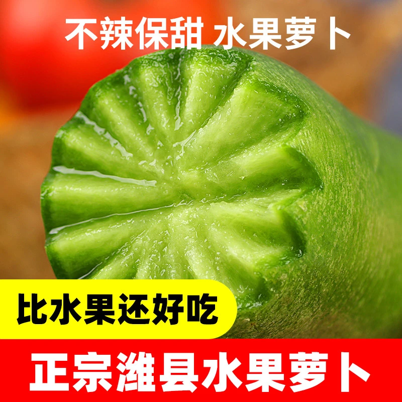 潍县绿水果萝卜青萝卜脆甜水果萝卜新鲜当季露天萝卜山东潍坊包邮