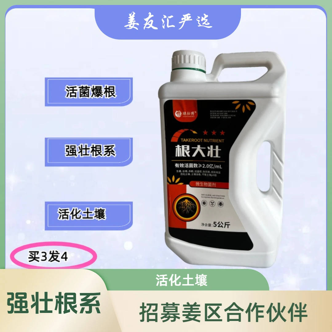 根大壮微生物菌剂大姜草莓小麦生根剂