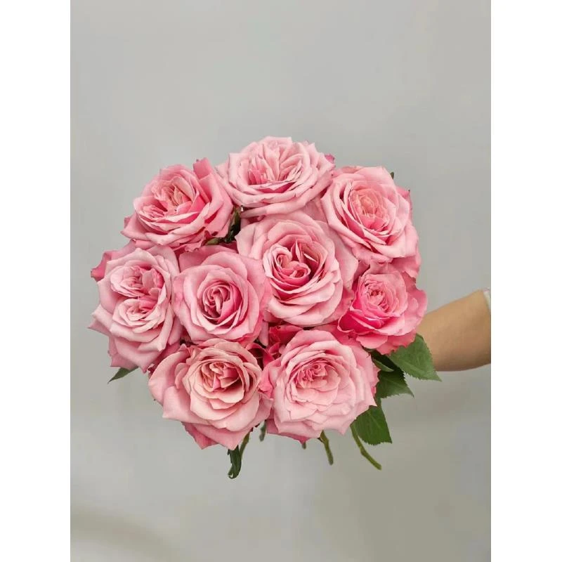 【半岛精选】闺蜜 单头玫瑰任意2单或以上包邮发货
