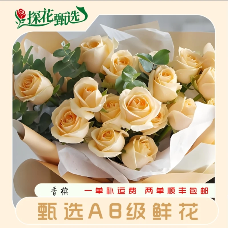 【探花甄选】香槟玫瑰 云南两单直发 两单顺丰冷链 卖花治愈