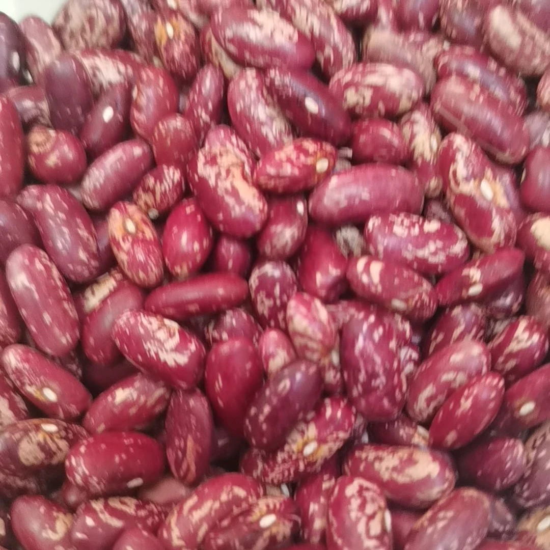 东北精选紫花芸豆饭豆