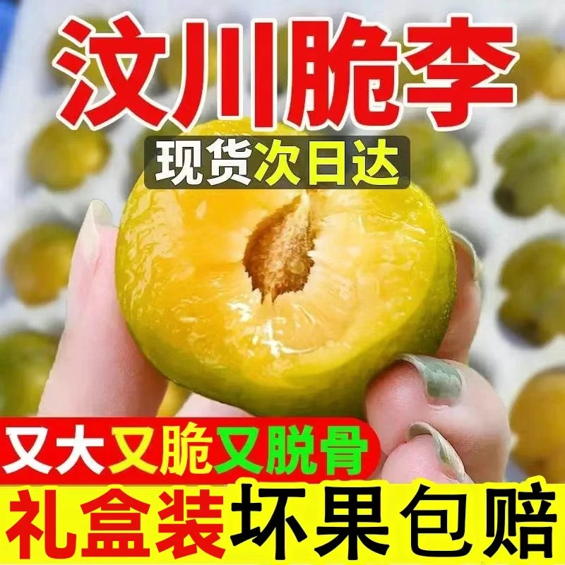 【顺丰冷链运输】四川汶川特产李子脱骨李子青脆李汶川脆甜李李子