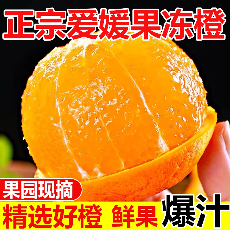 正宗四川爱媛果冻橙38号新鲜现摘现发手剥橘子基地现摘现发 Q1