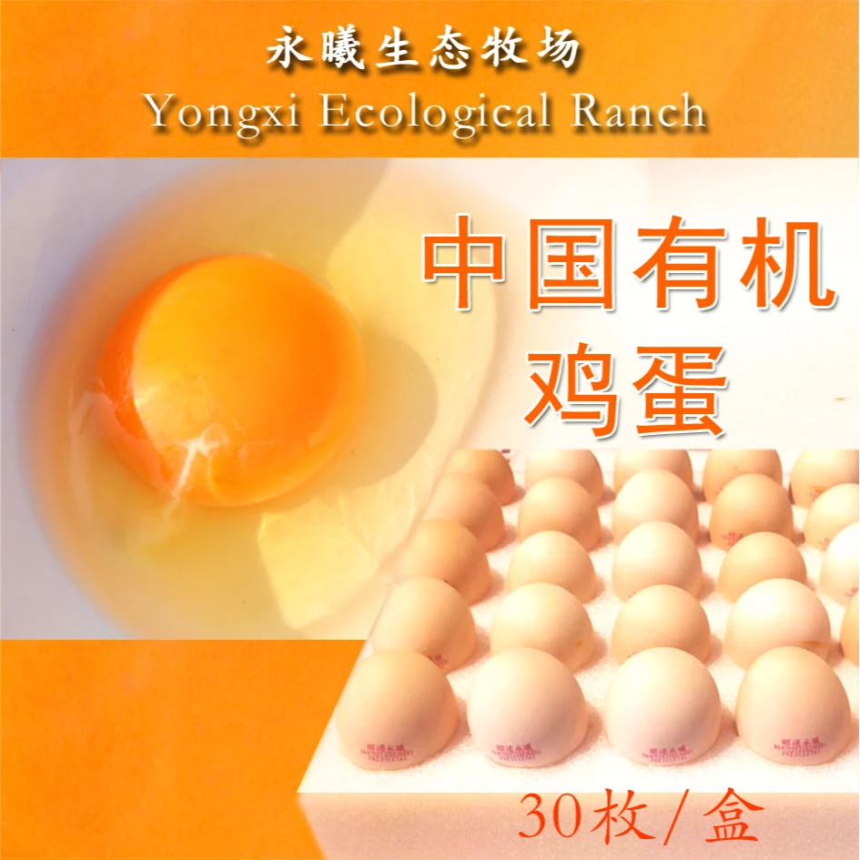 永曦有机鸡蛋出口港澳蛋品新鲜大型天然农场品牌好吃直供新鲜鸡蛋