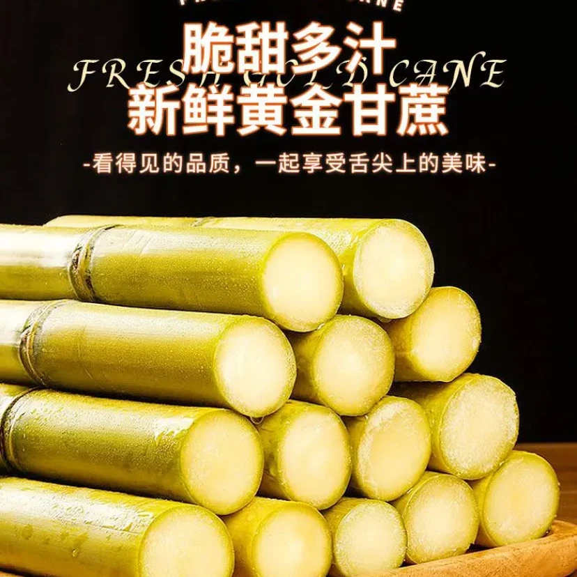 云南西双版纳黄金甘蔗
