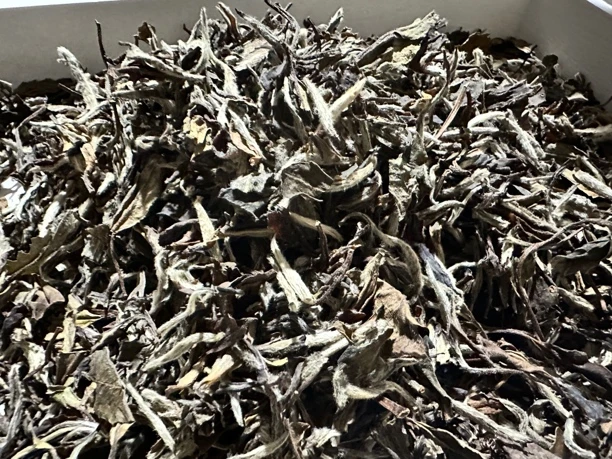 世家密码2010白牡丹特级50克-500克