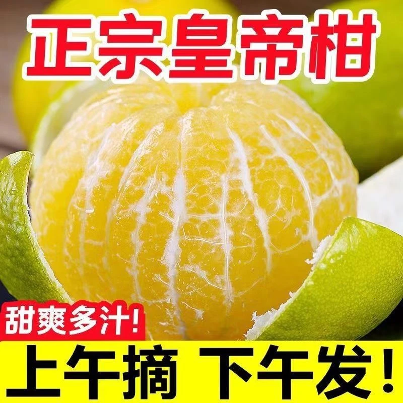 【纯甜无酸】广西武鸣正宗皇帝柑新鲜水果现摘现发柑橘蜜桔橘子贡柑