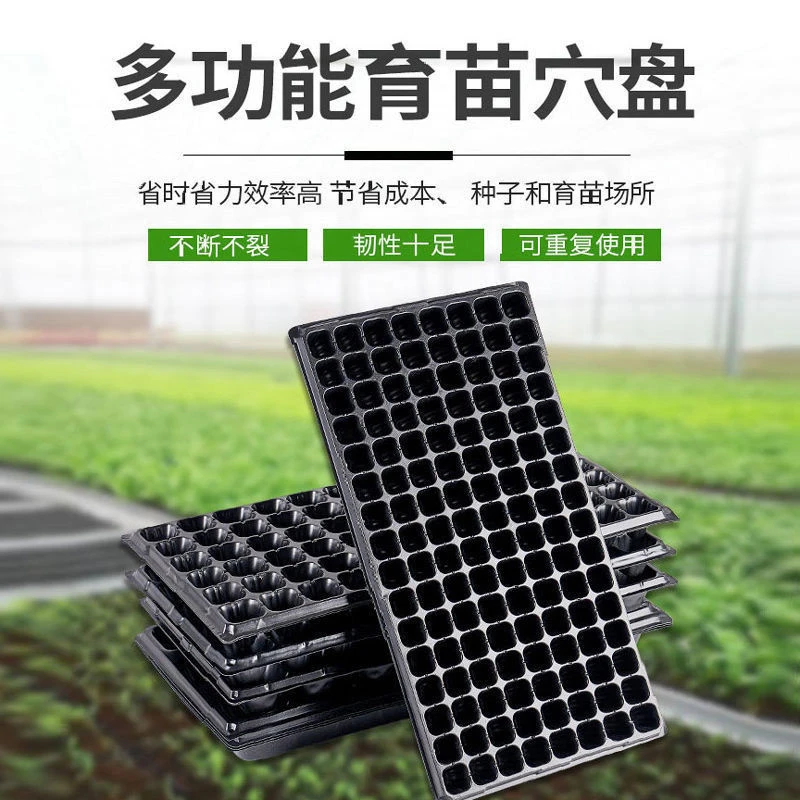育苗盘穴盘整箱育苗盒多肉叶插爬藤育苗箱育苗托盘培育苗盆托盘