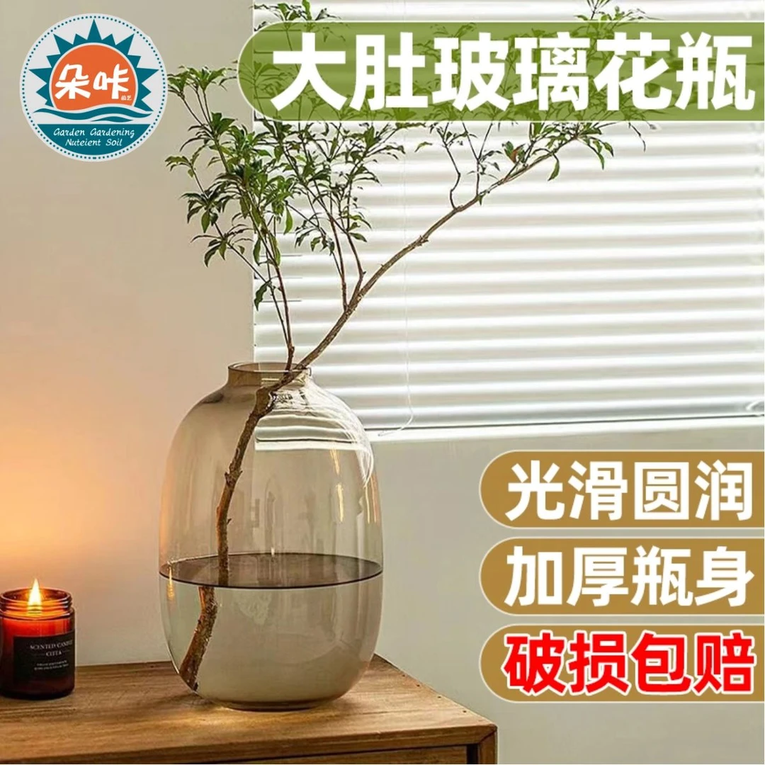 玻璃花瓶摆件客厅插花透明水养轻奢高级感水培鲜花大口径绿植卧室