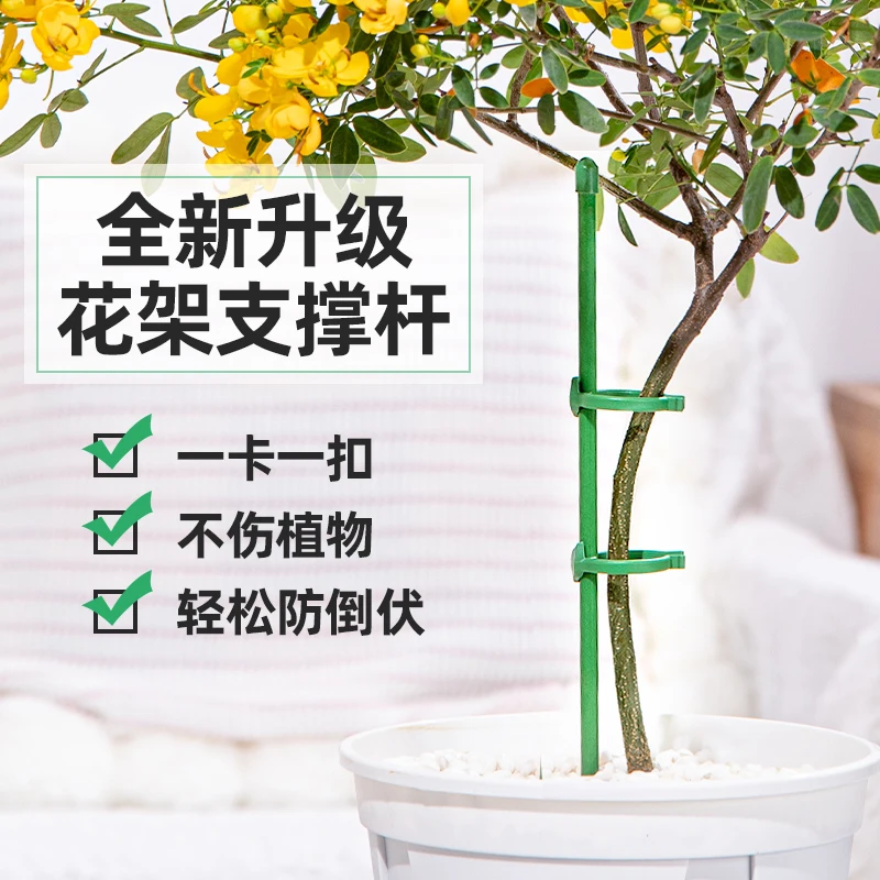 植物支撑杆蝴蝶兰龟背竹支架杆园艺造型花支架防倒伏尺寸固定架子