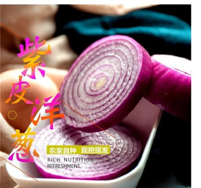 【拍2送1】紫皮洋葱圆葱葱头新鲜应季蔬菜农家甜味可生吃红洋葱种籽