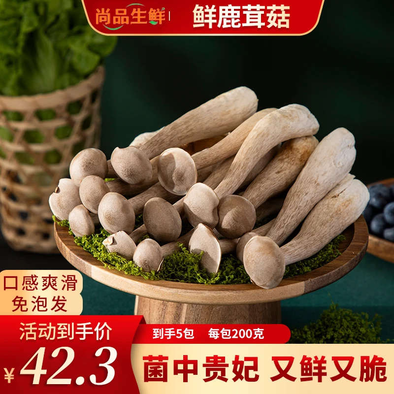 1000克山珍菌菇非干货尚品生鲜精品【鲜嫩新鲜鹿茸菇】清脆爽口食用