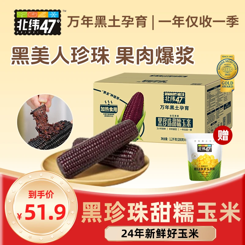 北纬47°新鲜采收黑珍珠甜糯玉米200g*6穗-可代餐粗粮