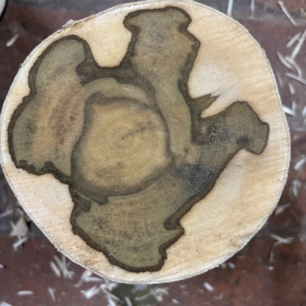 沉香原木段，摆件 K