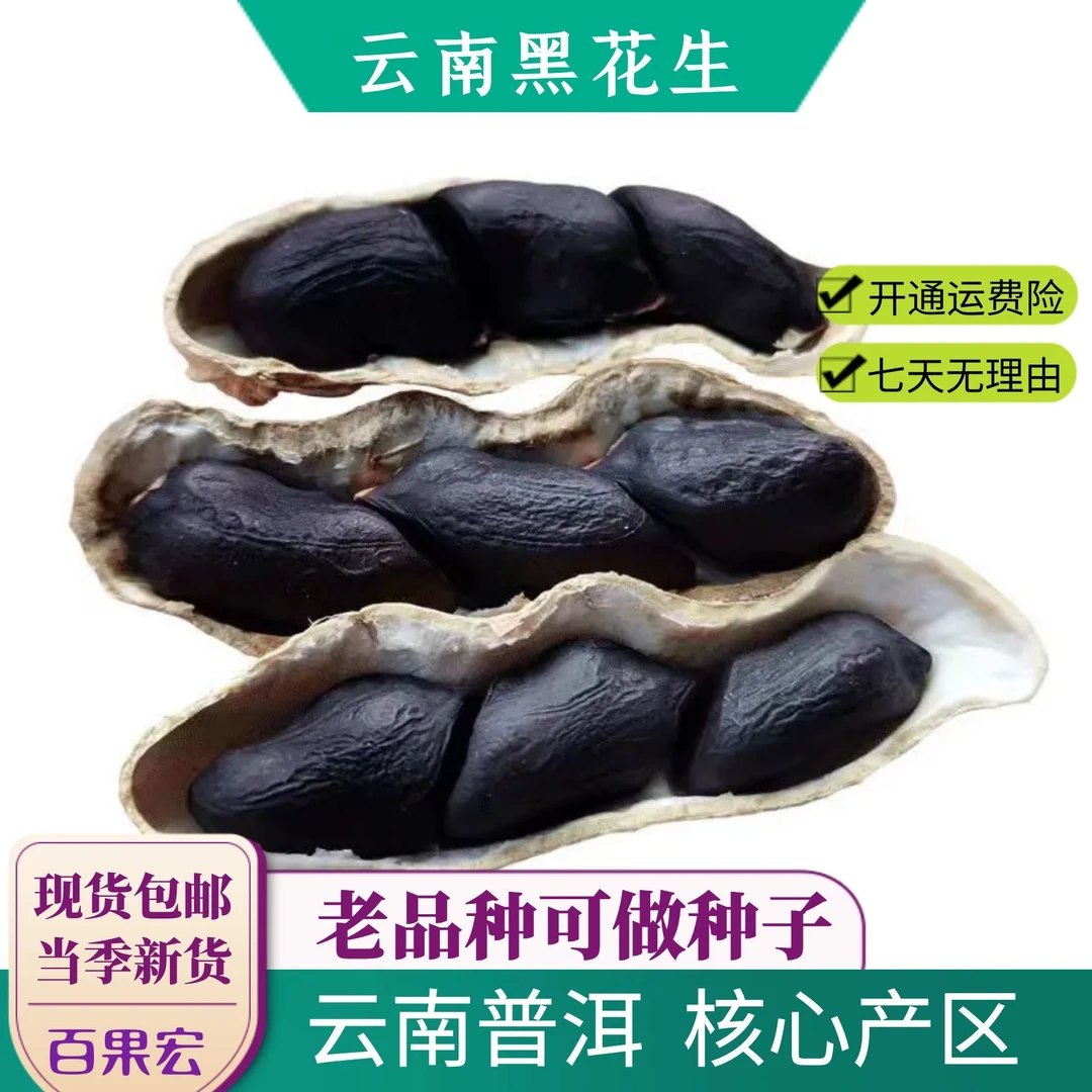 富硒黑花生-云南稀有品种可当种子糯甜爽口越嚼越香香甜新货美味