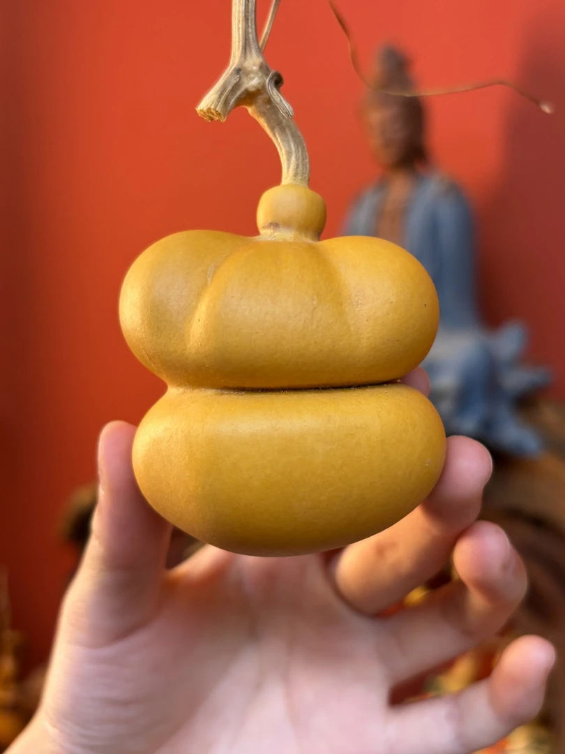 文玩葫芦（直播间选货）