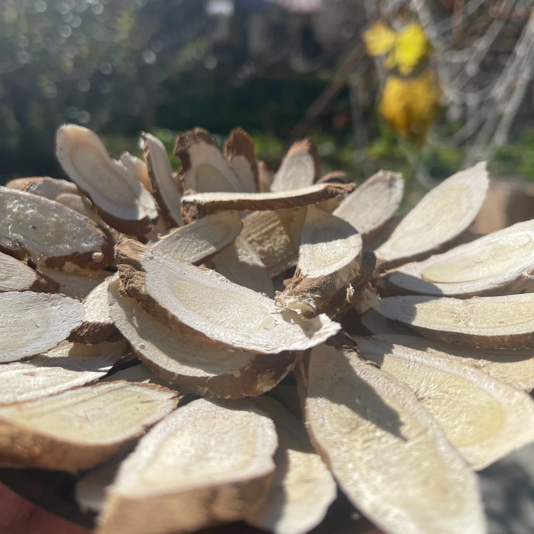 四川甘孜州高海拔地道藏黄芪 生黄芪切片 原产地黄芪