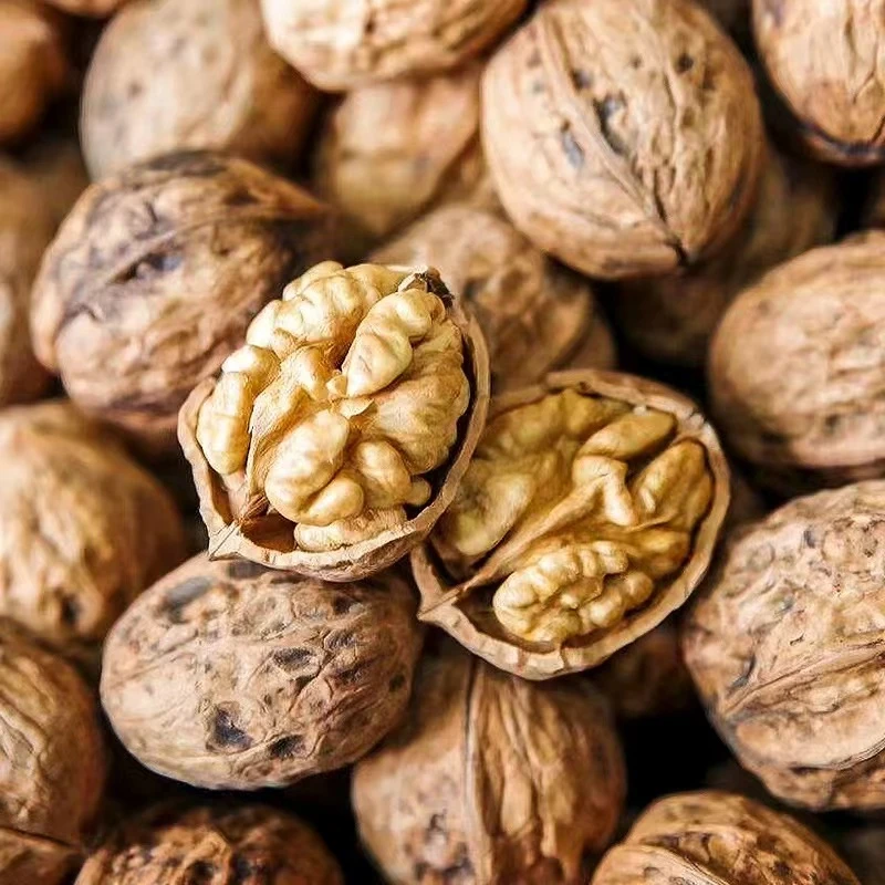 2024年四川大凉山老树干核桃农家原味老树核桃孕妇零食4斤/8斤