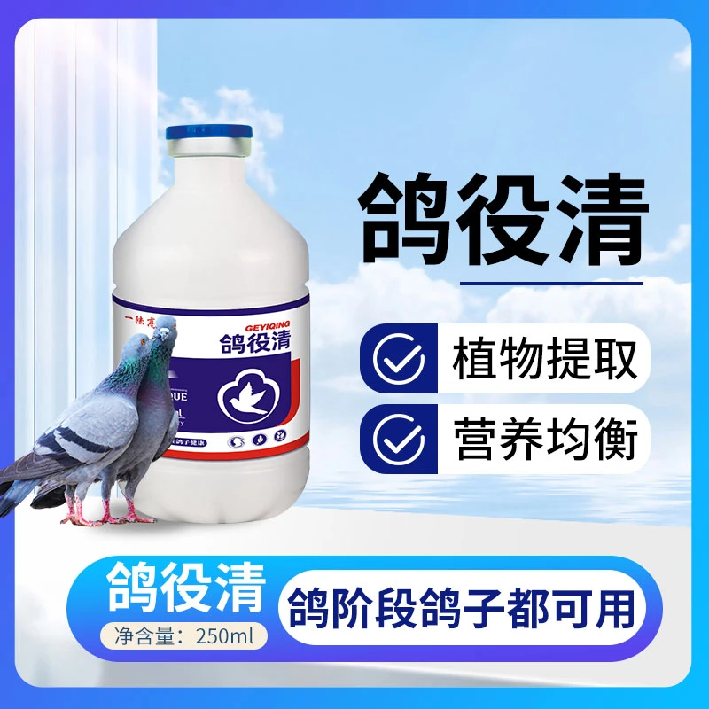 一陆高歌鸽役清鸽子流感鸽痘肉鸽宠物鸽子健康拌水拌料饲料添加剂