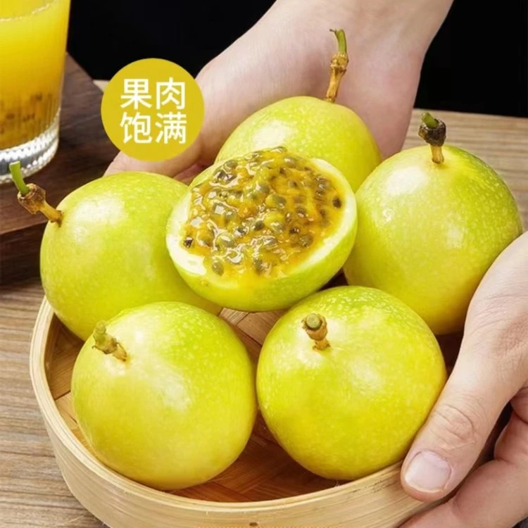 【 送开果器 】广西钦蜜九号黄金百香果3/5斤新鲜应季水果香甜多汁