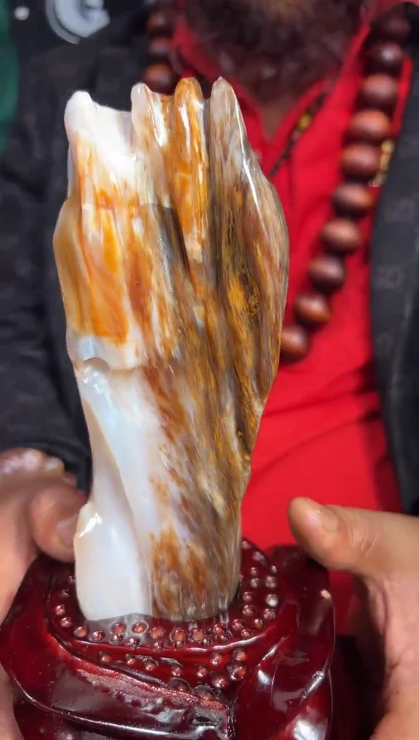 【闪购商品】硅化玉（树化玉）珠宝奇石未镶嵌树化玉拍一发一