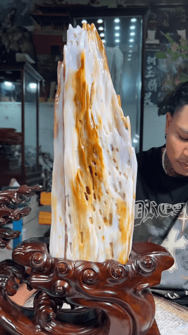 【闪购商品】硅化玉（树化玉）珠宝奇石未镶嵌拍一发一