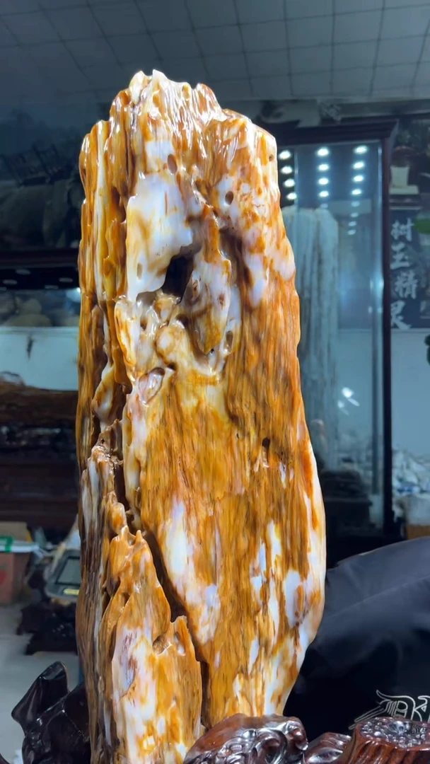 【闪购商品】硅化玉(树化玉)珠宝奇石未镶嵌拍一发一