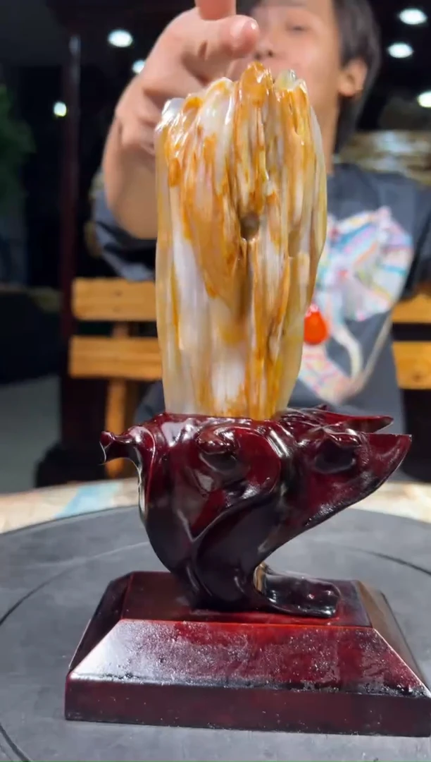 【闪购商品】硅化玉（树化玉）珠宝奇石未镶嵌拍一发一