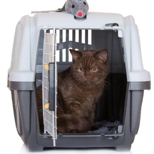 猫狗宠物用航空箱收纳运输猫窝狗窝箱子 颜色随机
