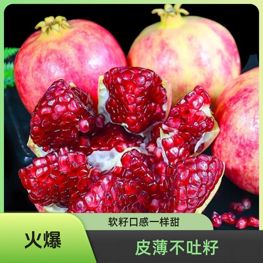 【精品】四川突尼斯软籽石榴皮薄不吐籽原产地包邮果皮青不影响口感