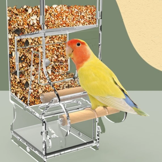 鹦鹉喂食器自动玄凤虎皮牡丹中小型鸟食盆防撒防溅喂鸟饲料吃食盒