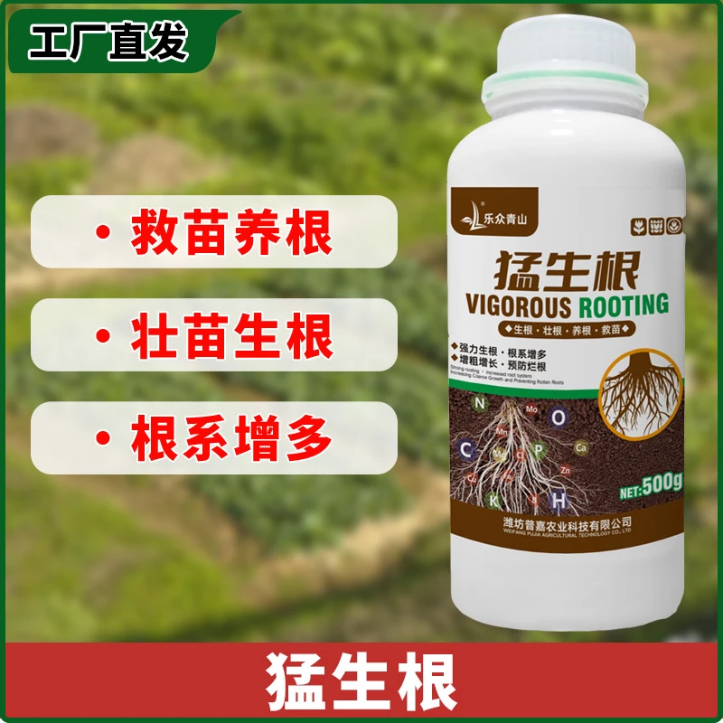 【猛生根原液】生根养根护根 低温生根迅速 促新根 扎根快壮根壮苗