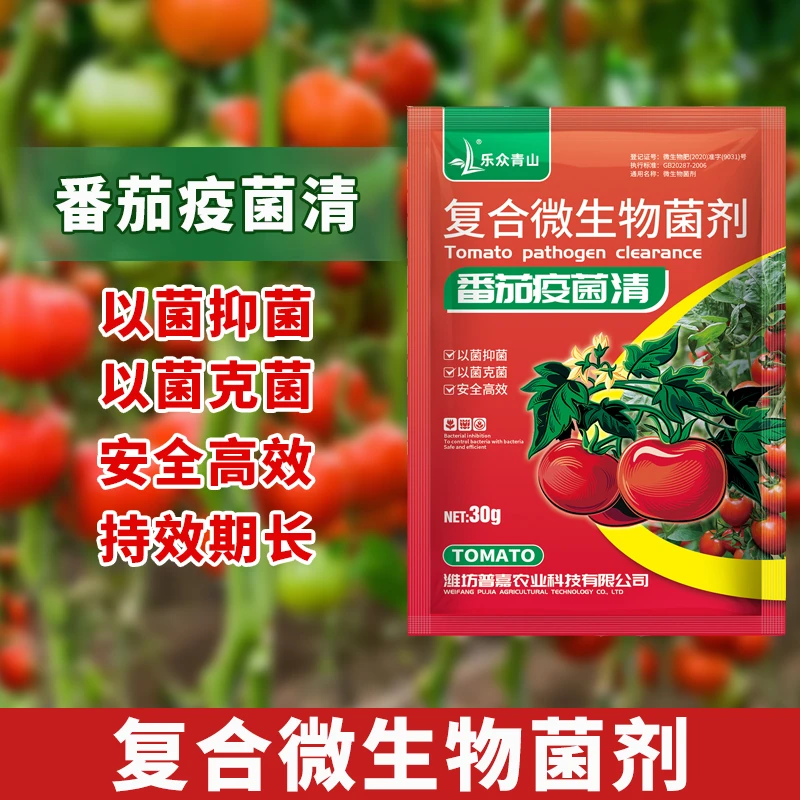 【番茄疫菌清】复合微生物菌炭疽灰霉白粉霜霉果腐黑斑早疫通用