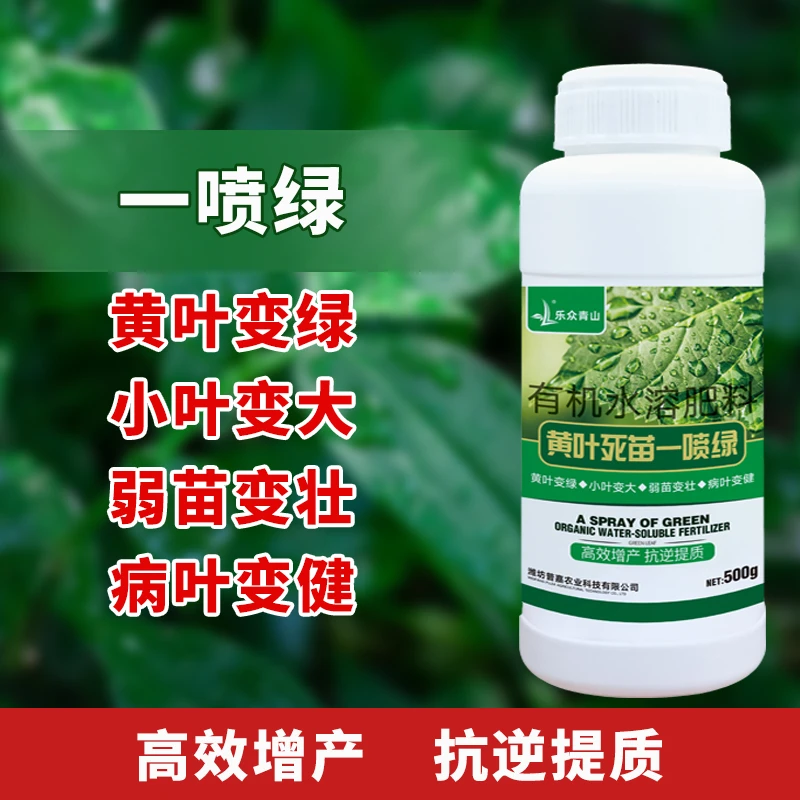 【黄叶一喷绿】蔬菜花卉果树微量元素水溶肥500毫升/瓶