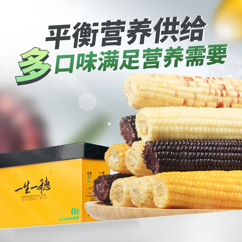 新鲜采摘黏糯玉米棒真空包装非转基因多营养组合代餐袋装食用粗粮