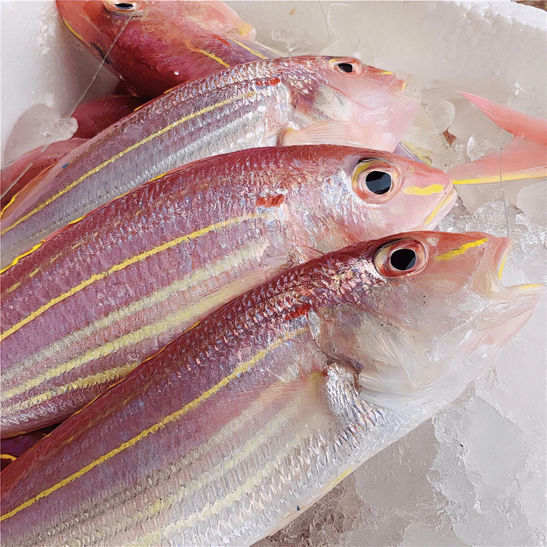 海钓金线鱼（钓鲤）汕尾港码头顺丰京东冷链配送发货 天然营养丰富