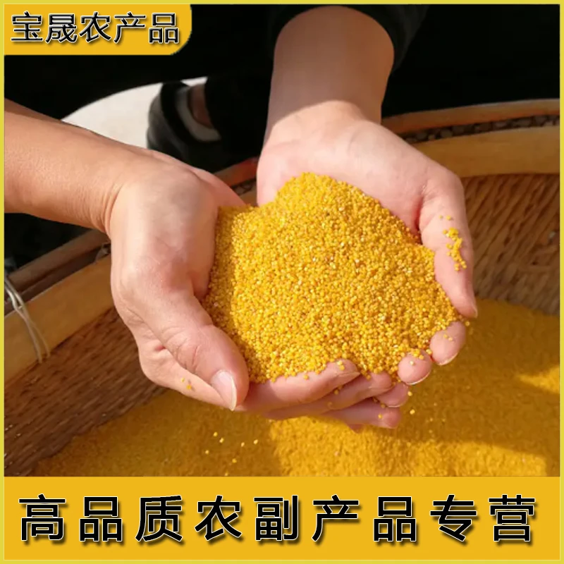 【活动】正宗农家黄小米大金苗黄小米五谷杂粮煮小米粥米饭