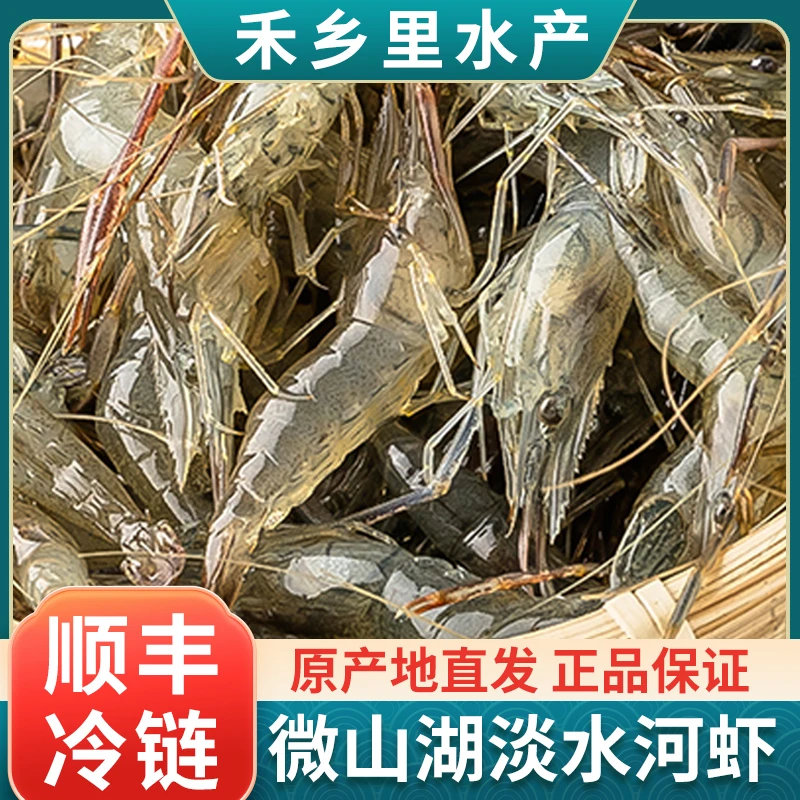 禾乡里新鲜冷冻捕捞食用河虾淡水湖小包赔速冻虾皮紫菜汤独立包装