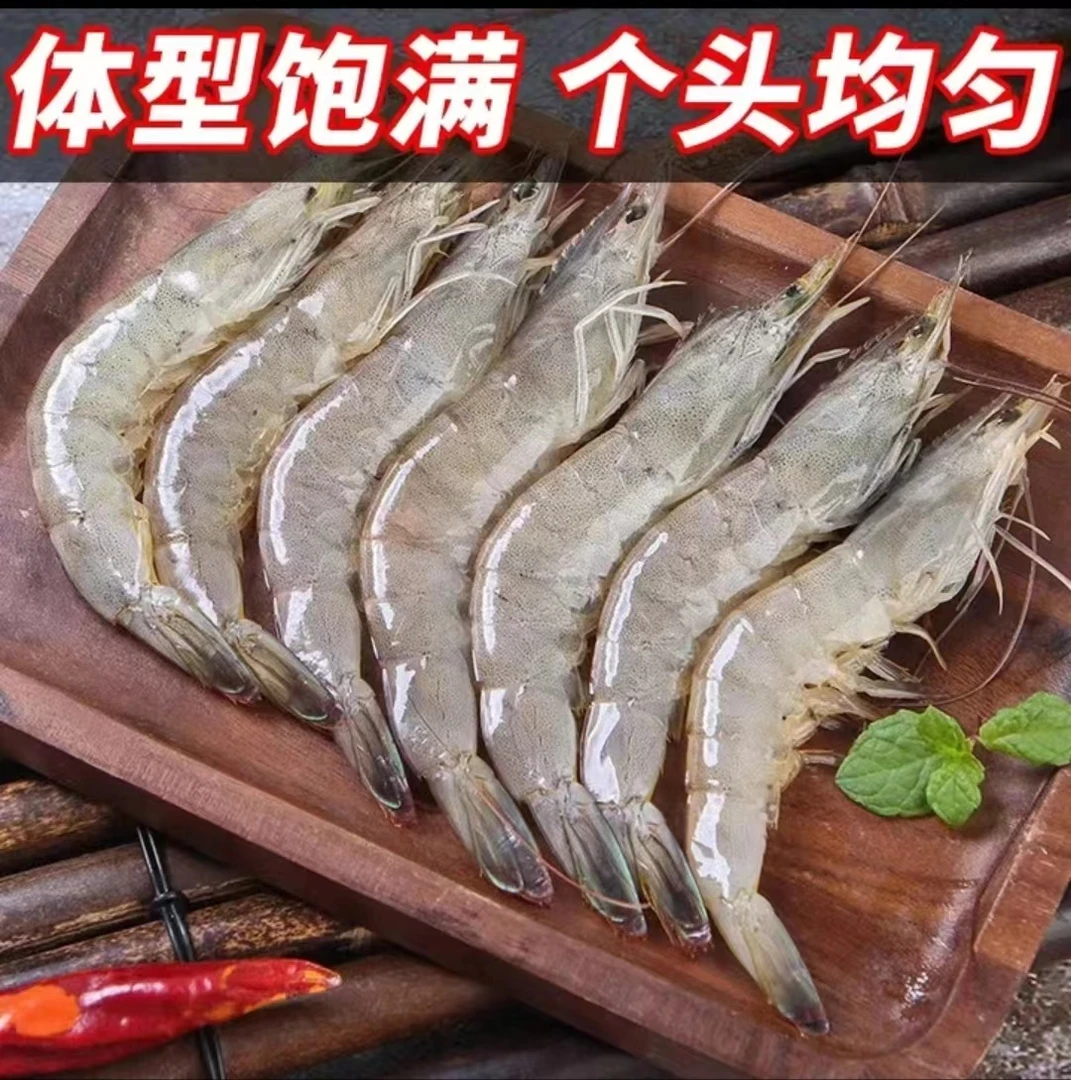 2030规格海洋大号青虾 净重3.3斤只只分离