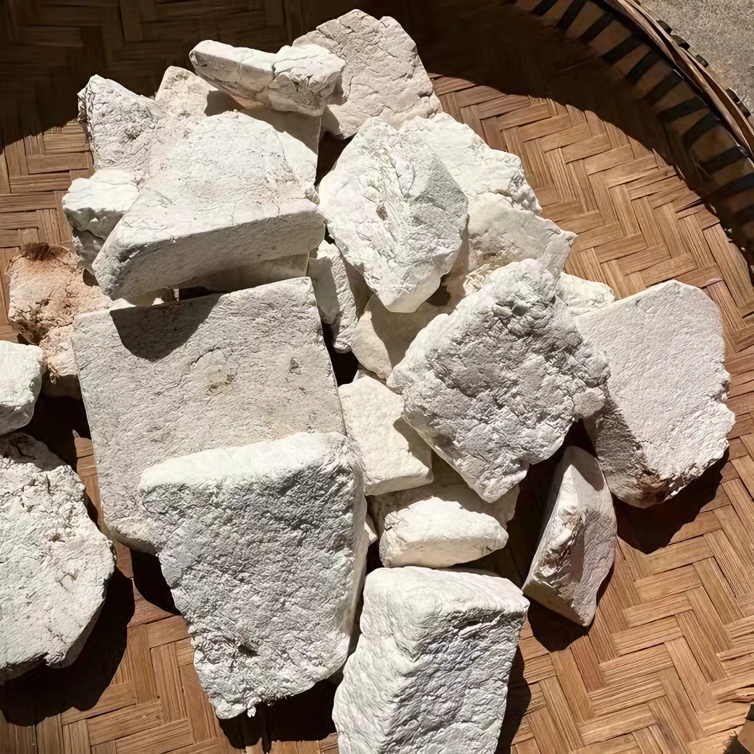 定亮收山货    福-林菇500g