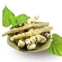 定亮收山货～龙边深非香菇