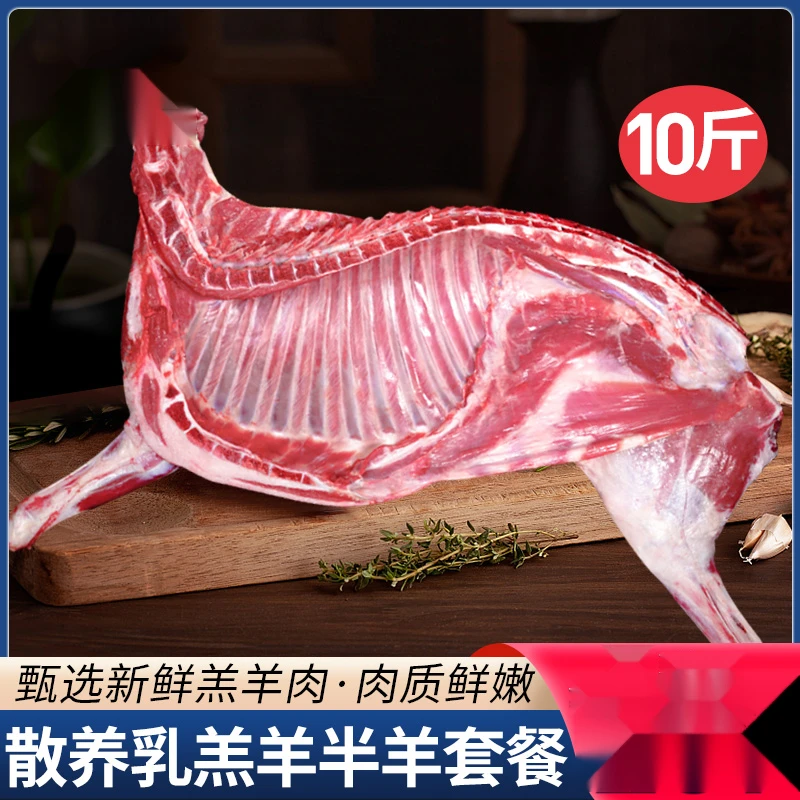 羊肉新鲜现杀半只羊10斤乳羔羊生羊肉羊腿羊排羊蝎子优质鲜嫩年货