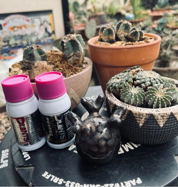 【品质有机水溶肥】高氮钾型生长提速，高钾型精控，均帮助干物质积累