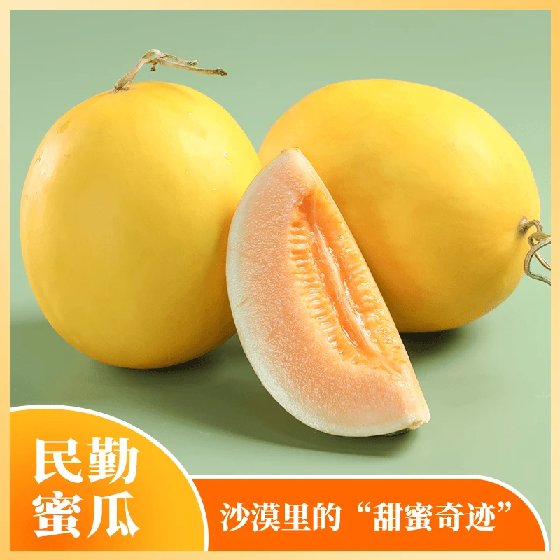 甘肃民勤蜜瓜黄河蜜瓜4-9斤装 甘肃陕西多仓发货